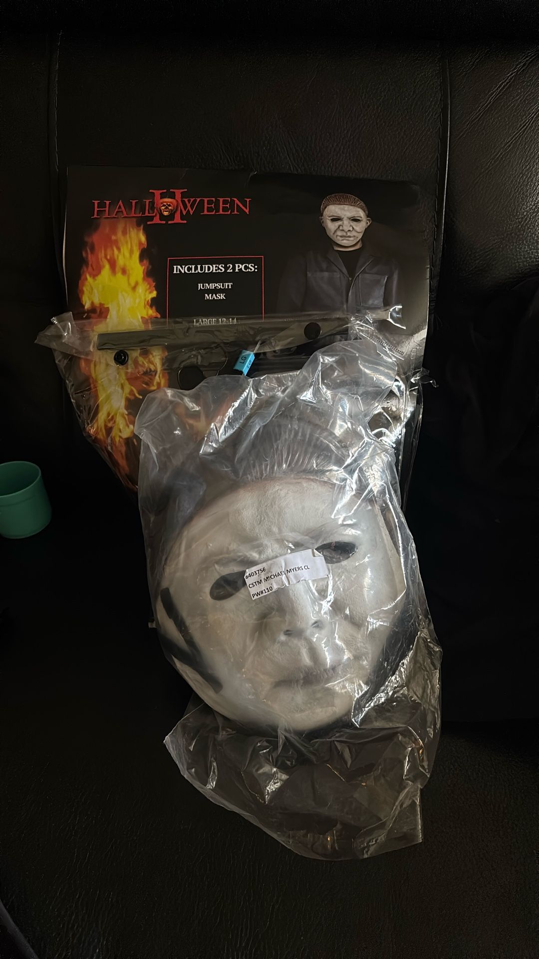Halloween Costume