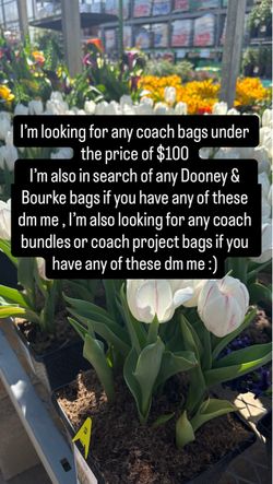 Coach bags