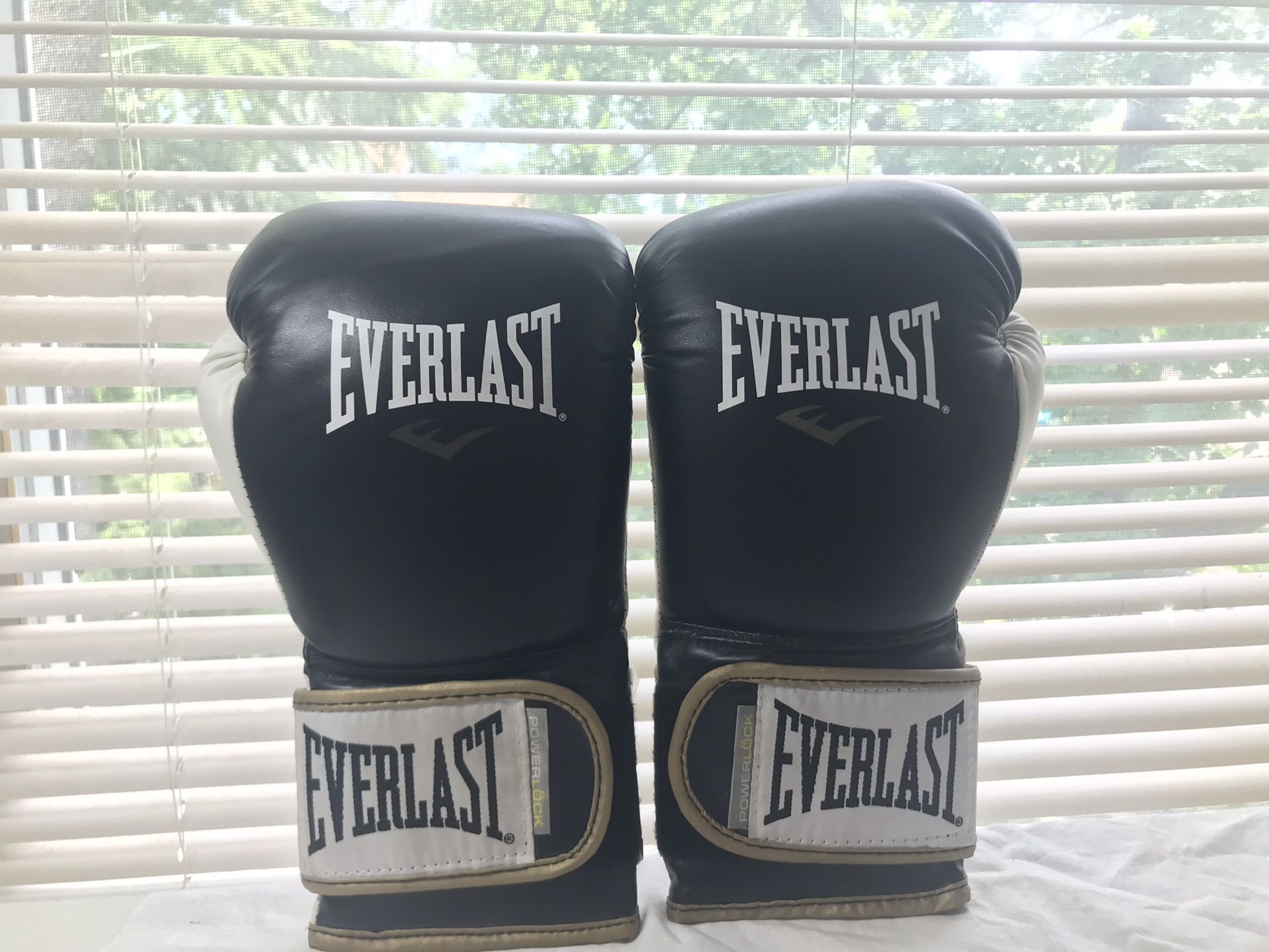 Everlast 16 Oz Power Lock Boxing Gloves