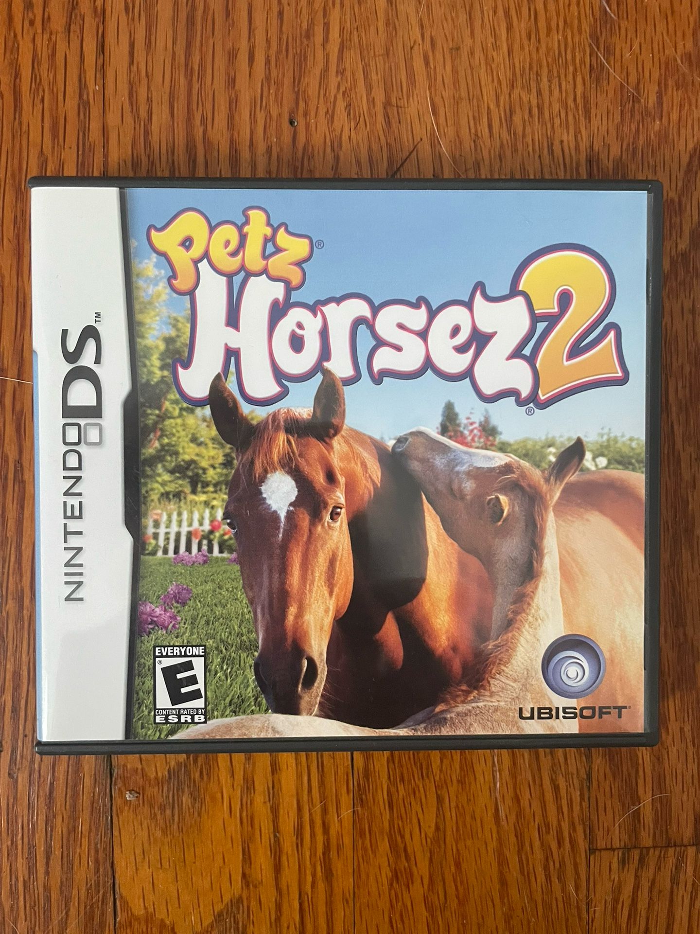 Nintendo DS Game