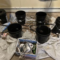 Deep Water Culture Hydroponic System 