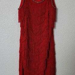 Beautiful Fringe Dress 