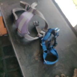Dog Harness