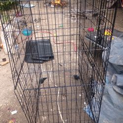 55-in Bird Cage