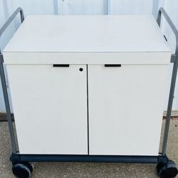 Multi Use Metal Cabinet With Wheels 2 Doors and shelving
