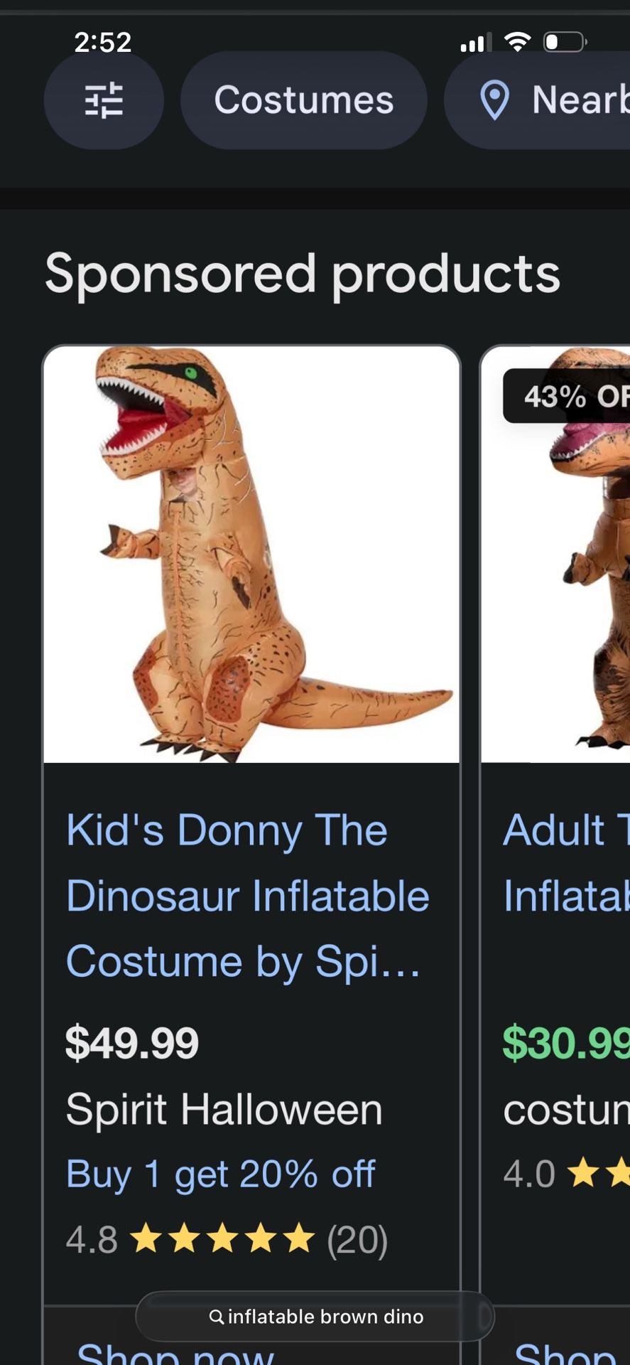 Brown Dino Inflatable Kids