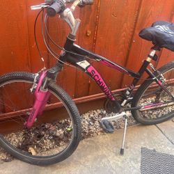 SCHWINN 