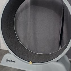 Cat Wheel