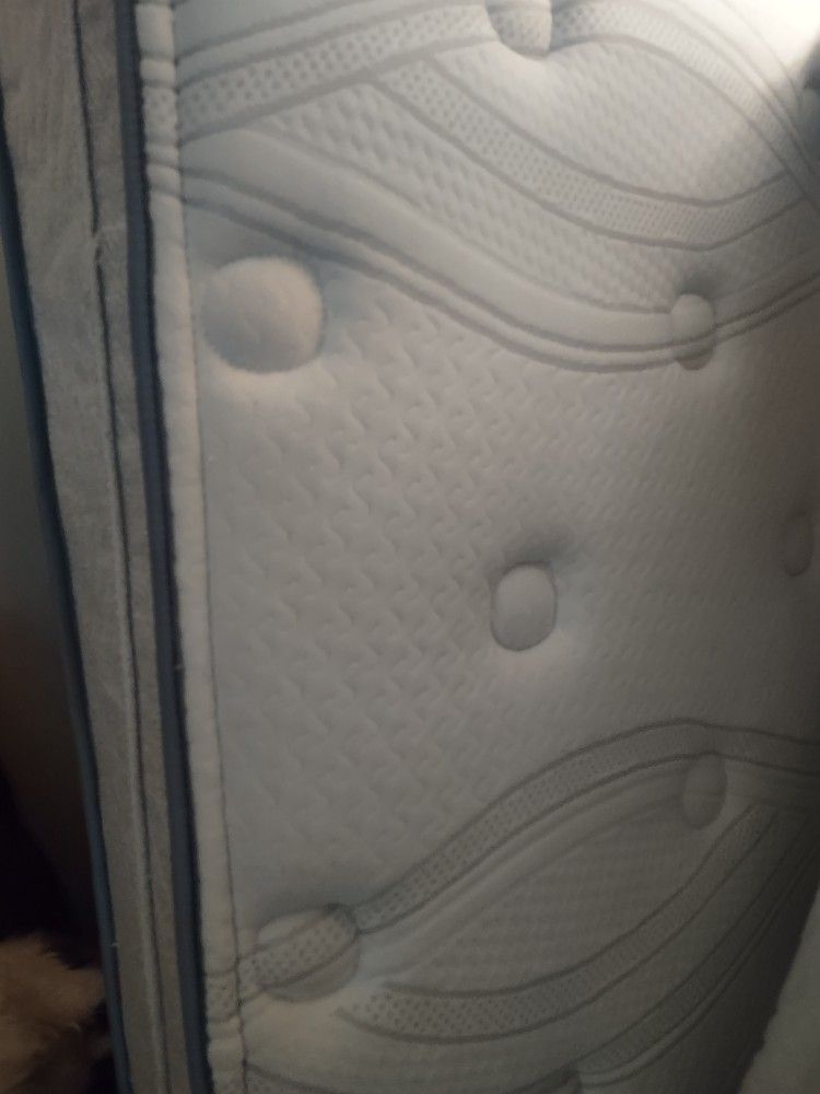 Twin Mattress With Spring Box