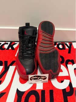 Air jordan retro 12s (flu game)