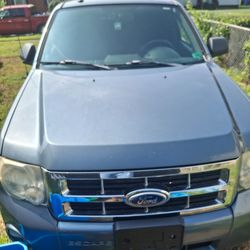 2010 Ford Escape