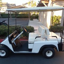 Golf Cart 4 Seater  Senior Fun Show Management 