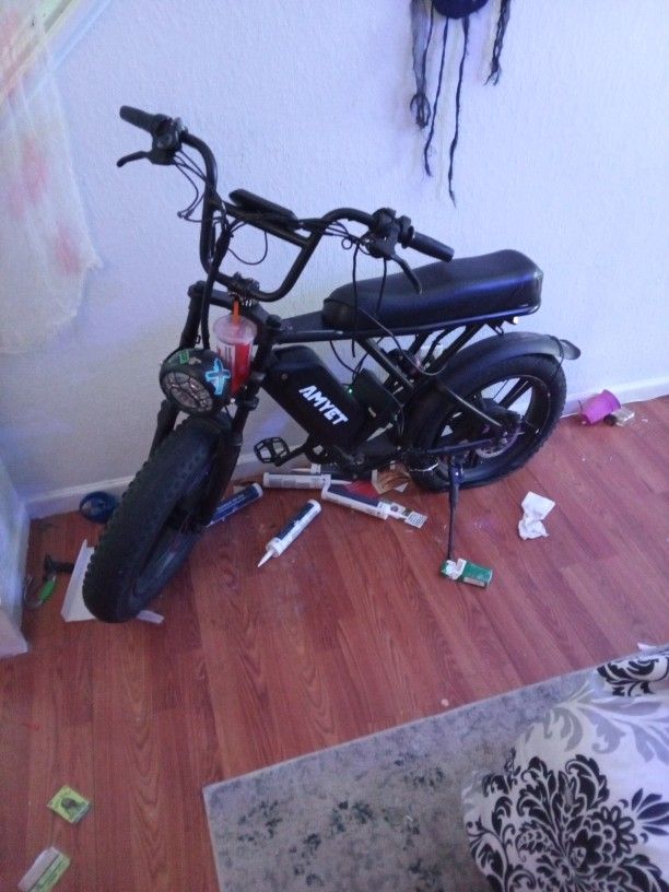 Electric Bike