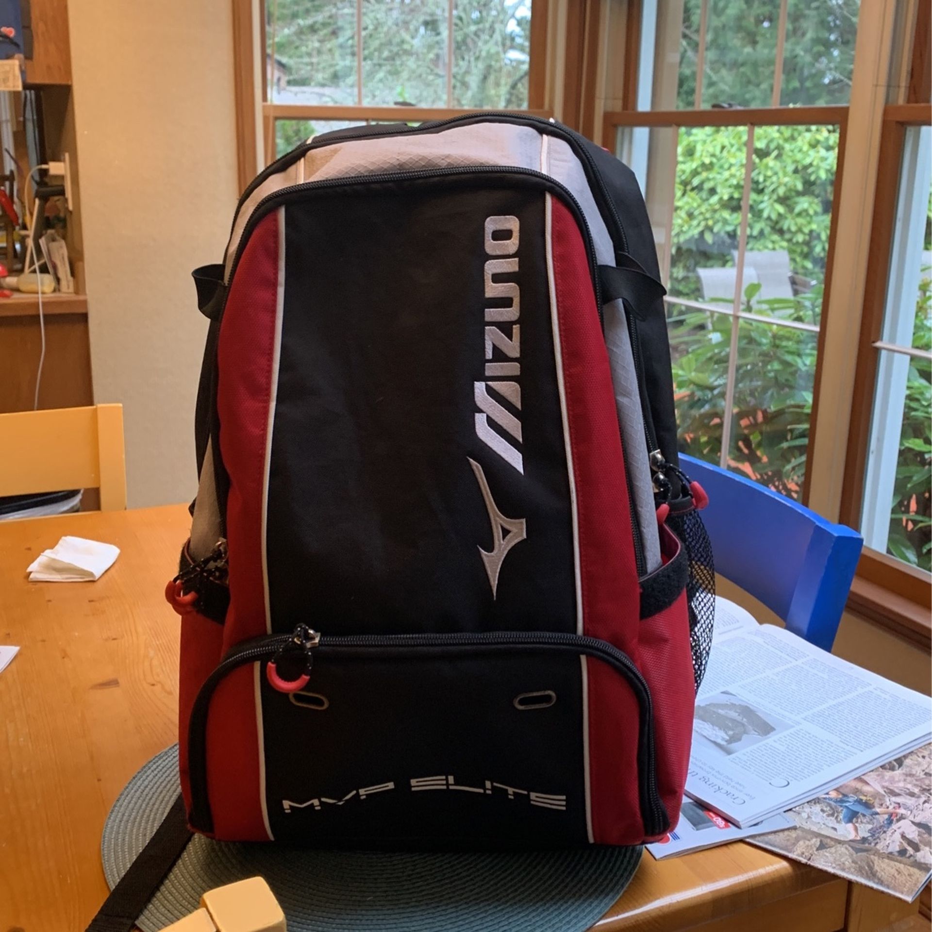 Mizuno Baseball Bag