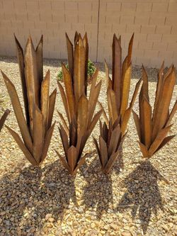 New .. 4FT. AGAVE 
Garden Agave Plants ..(Will rust)

Approx.
4ft 1" Agave 
$129.95 ea.

Approx.
3ft.5" Agave  $120.00

Approx.
2ft.1" Agave 

$75.00 