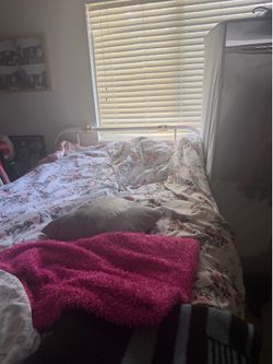 Free full size Bed