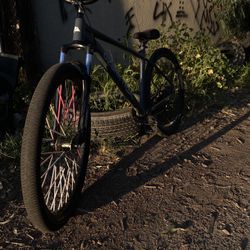 Ozark Trail Bike I Converted To Strew Bike 