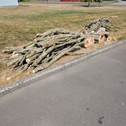 Free Firewood