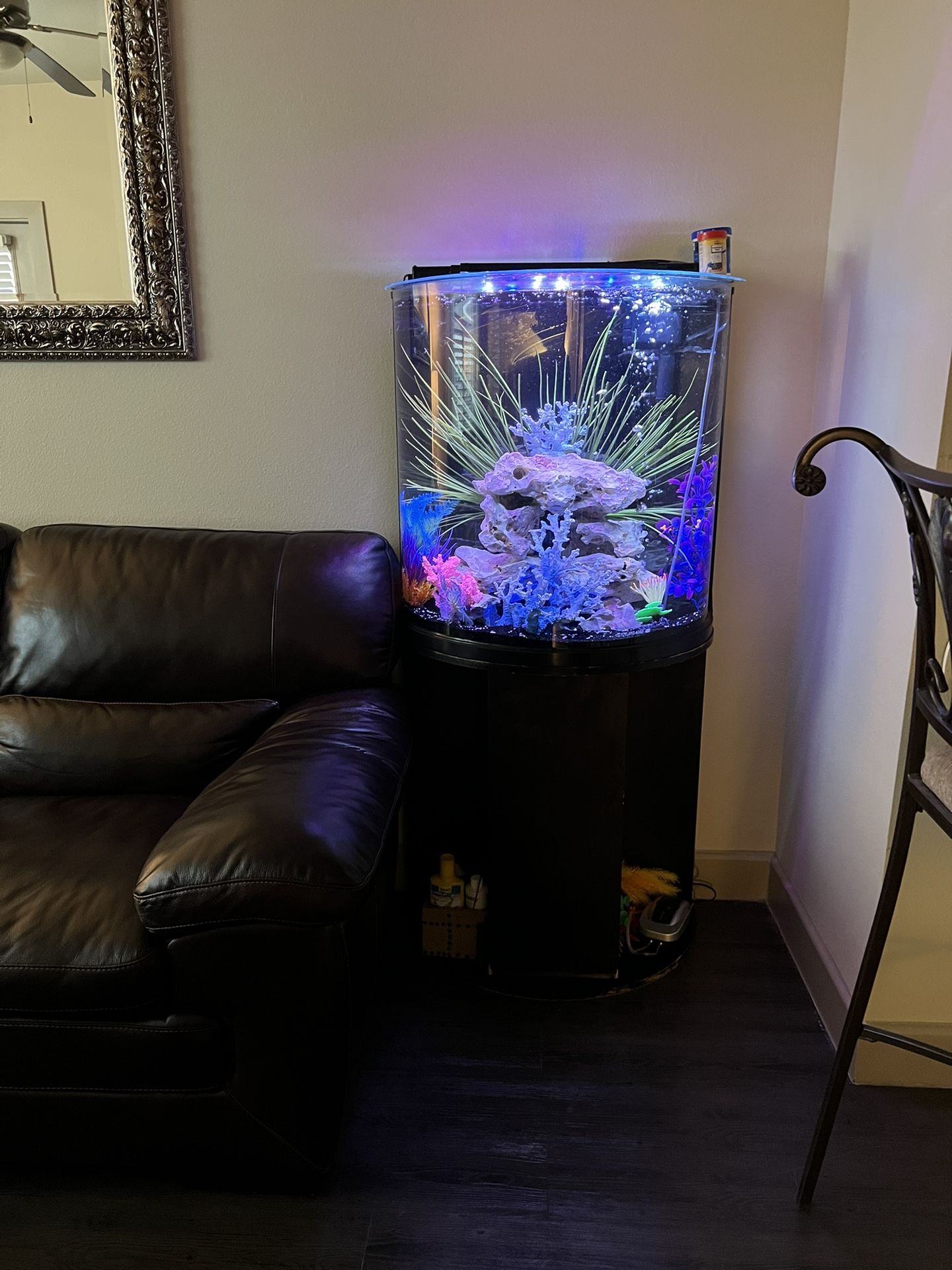 40 gallon fish tank, half moon everything included