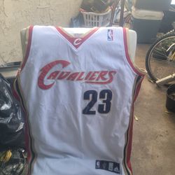 Lebron James Cavs Jersey Sold As Is