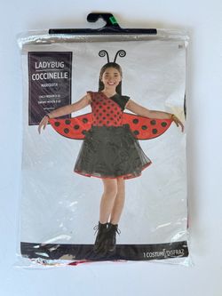 Ladybug Halloween Costume