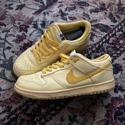 Nike Dunk Zoom Men’s Shoes Size 9