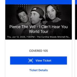 Pierce The Veil Concert 