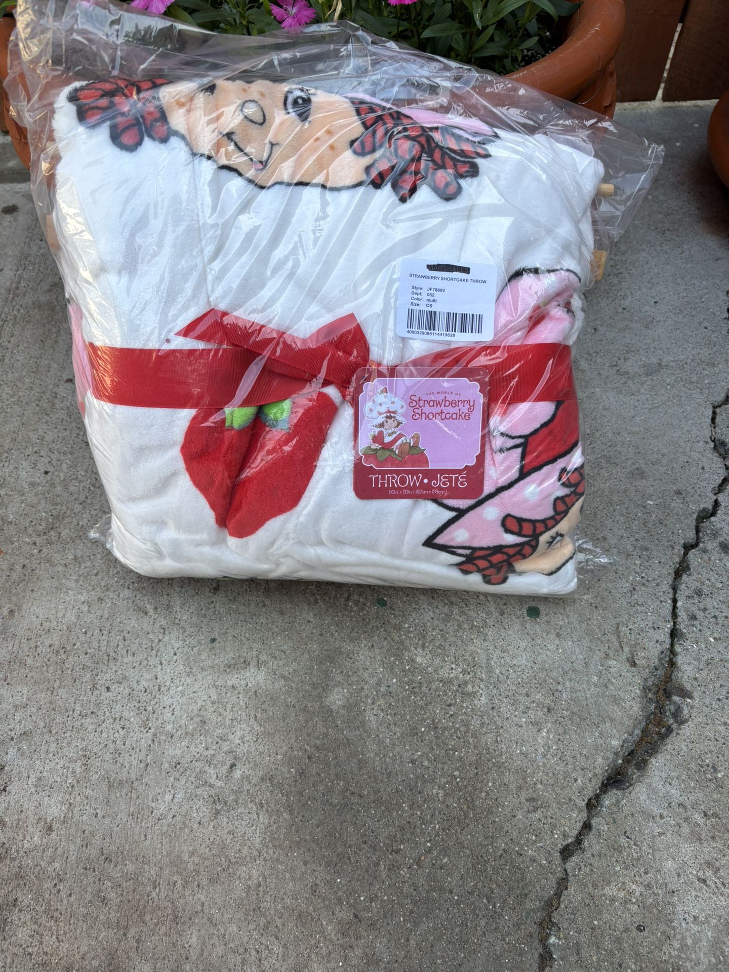 Strawberry shortcake throw blanket