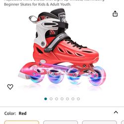 Size Large Skates 