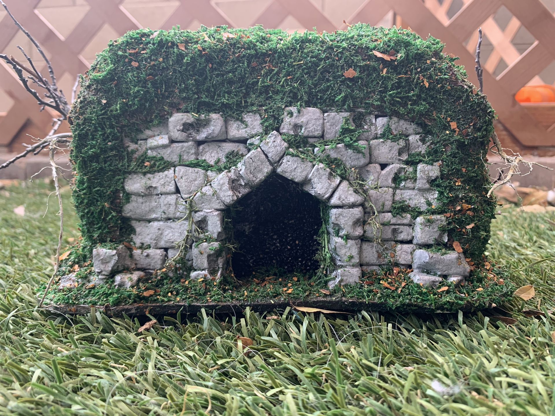 D&D terrain Dungeon cave or mine entrance