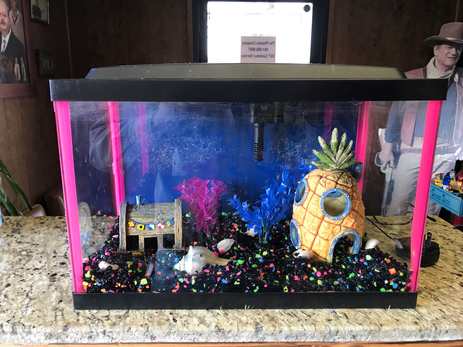 Sponge Bob fish tank