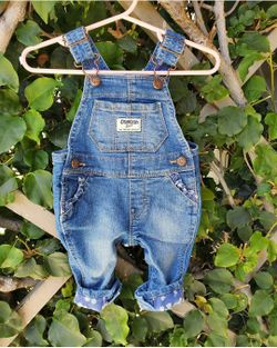 Osh kosh 3-6M overalls