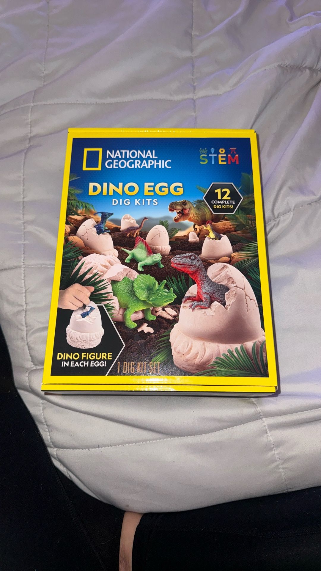 National Geographic Dino Egg Dig Kits For Kids