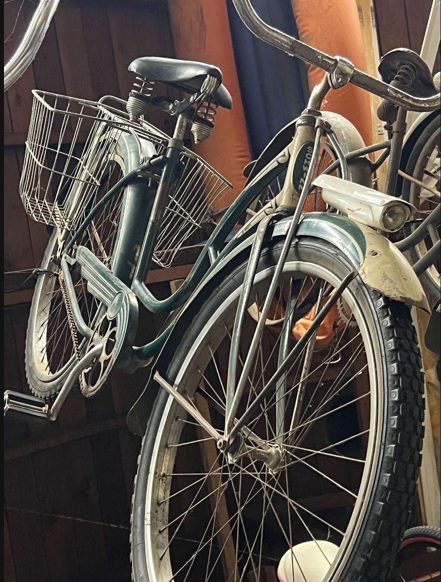Girls Schwinn