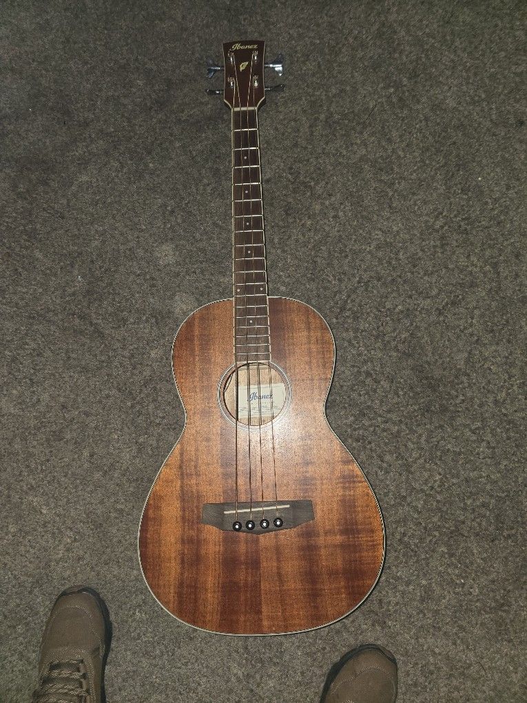 Ibanez PNB14E Parlor Acoustic-Electric Bass Guitar Natural