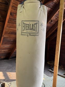Everlast Punching Bag