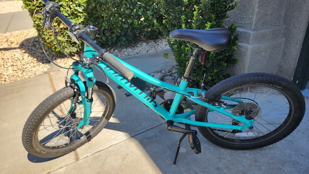 Kids Bike 20"