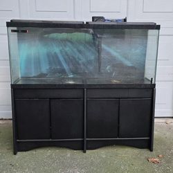 55 Gallon Aquarium With Accessories
