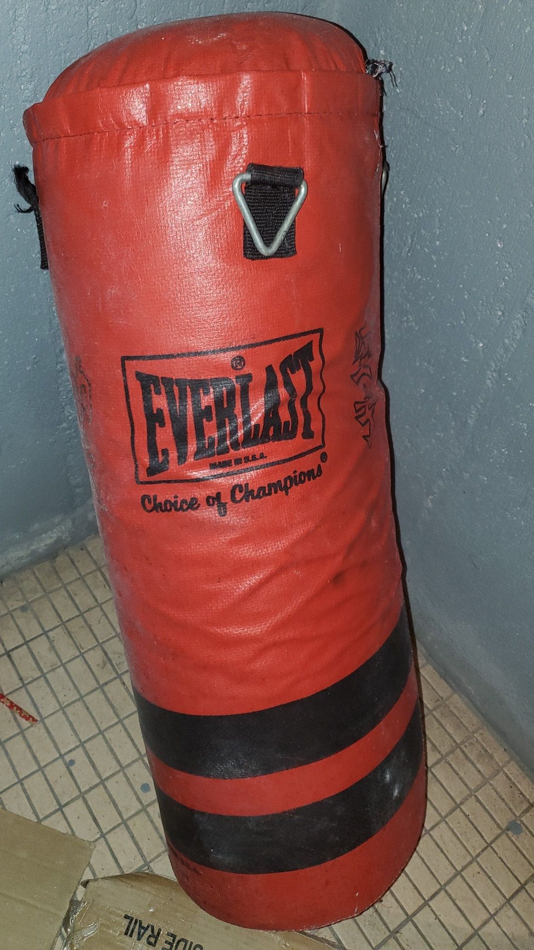 Everlast punching bag