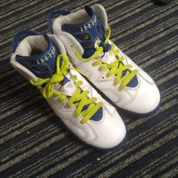 Air Jordan 6