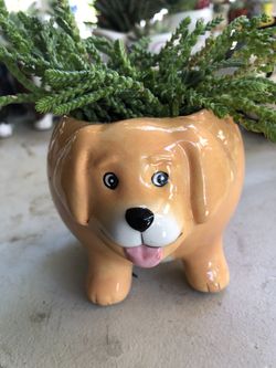 Golden Retriever Succulent Pot