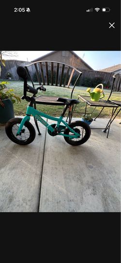REI co-op 12inch bike