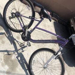 Bicycle Schwinn 