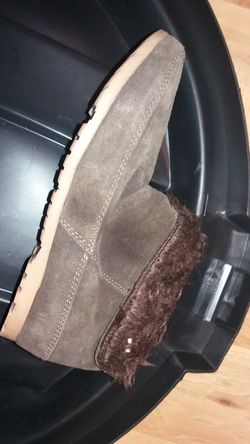 Shows new