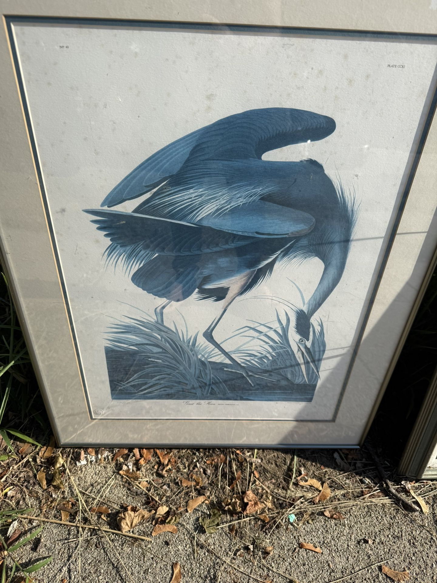 Artwork $20-$50