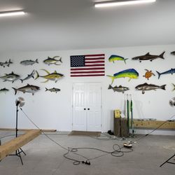 Fish Mounts Fiberglass