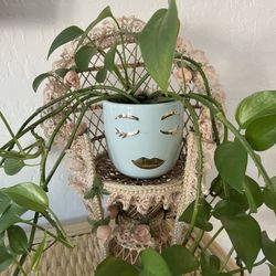 Peacock Chair Plant Holder. 