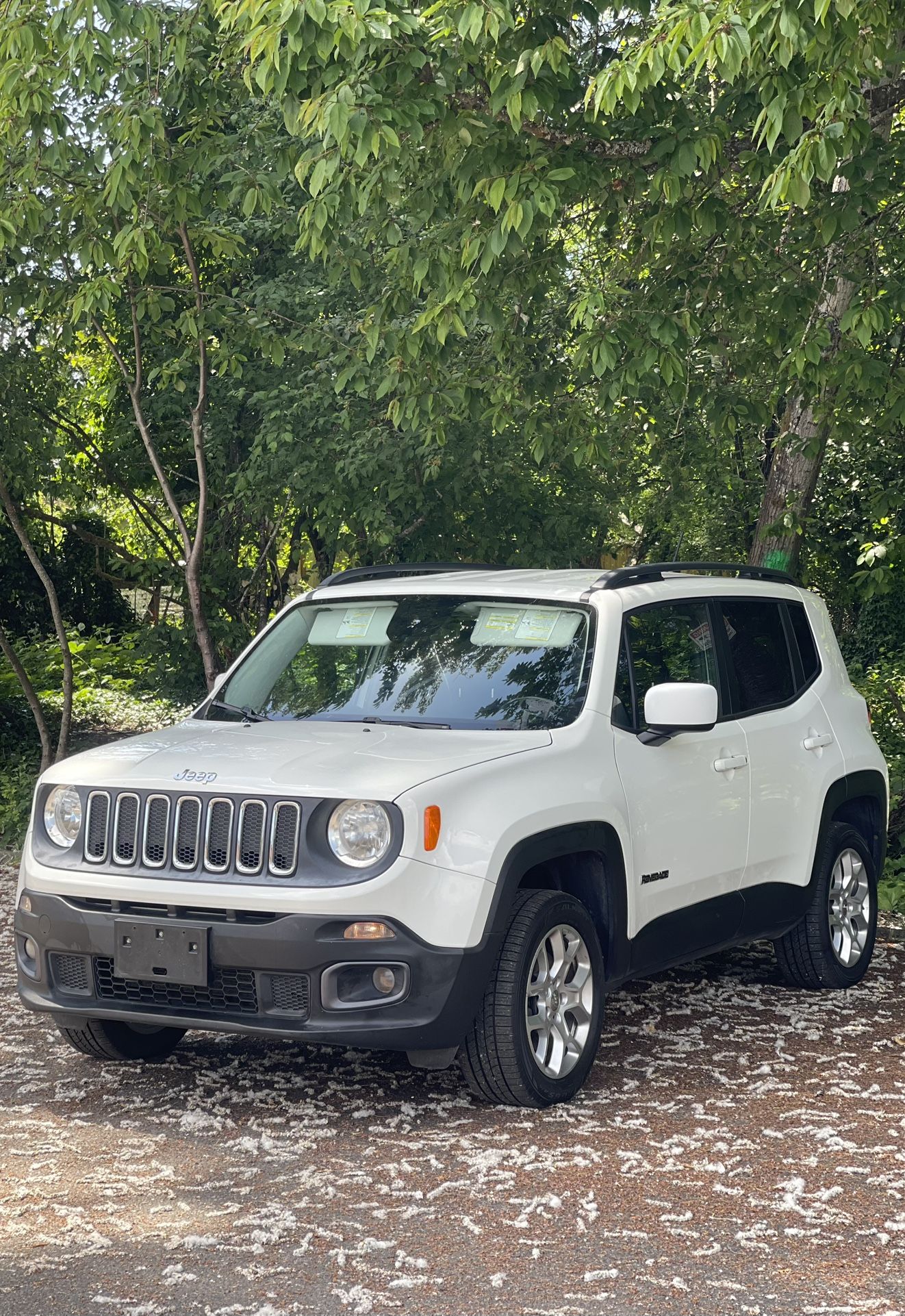 2015 Jeep Renegade
