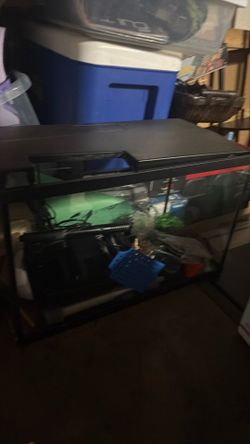 Fish tank