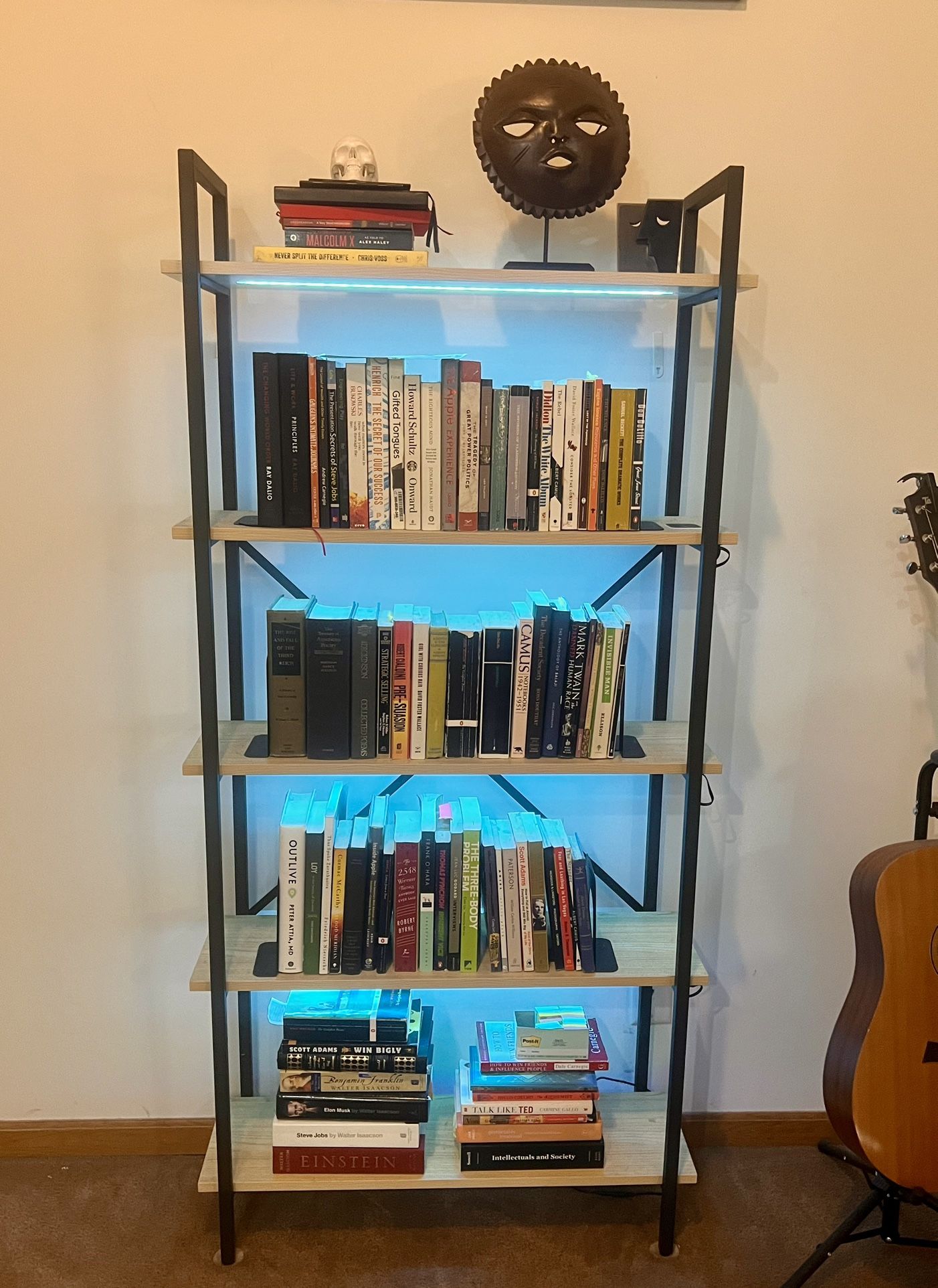 Bookshelf With Adjustable Lighting